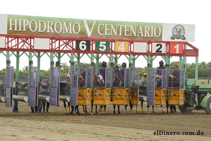 Top 65+ imagen carrera de caballo del quinto centenario de hoy