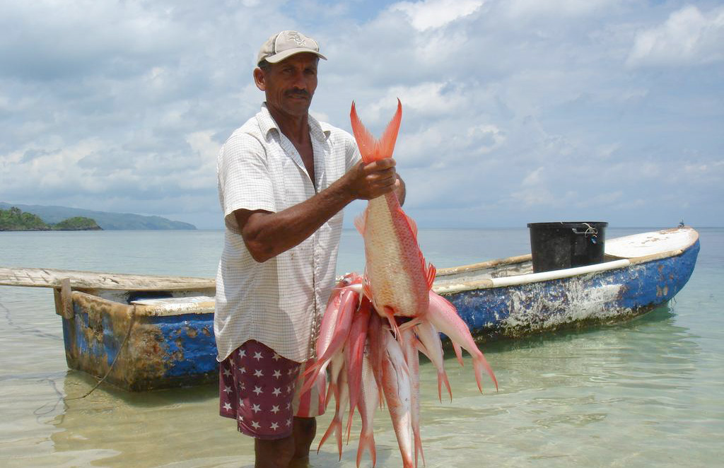 pesca en republica dominicana